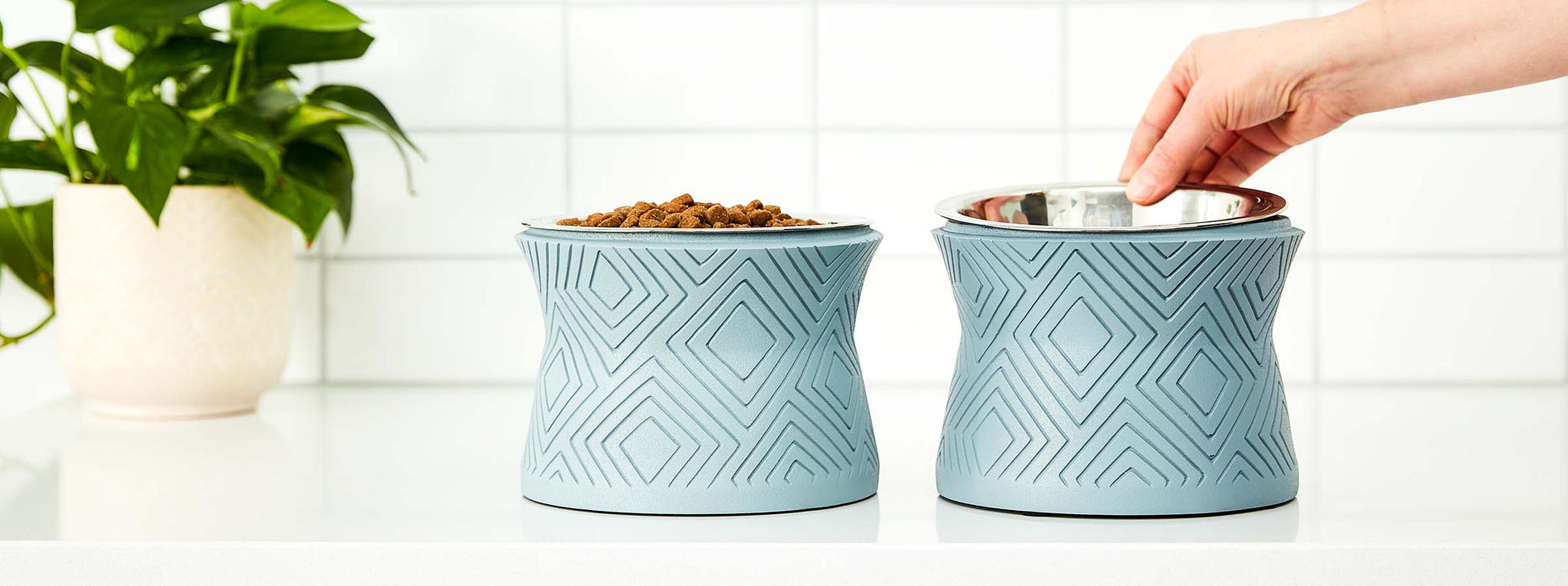 Two elevated dog bowls on counter