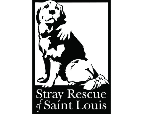 Donation recipient spotlight: Stray Rescue of St. Louis