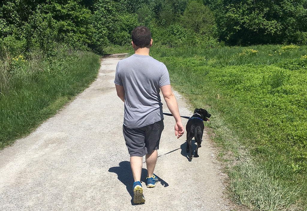 Dog-Friendly Hiking Trails Near St. Louis