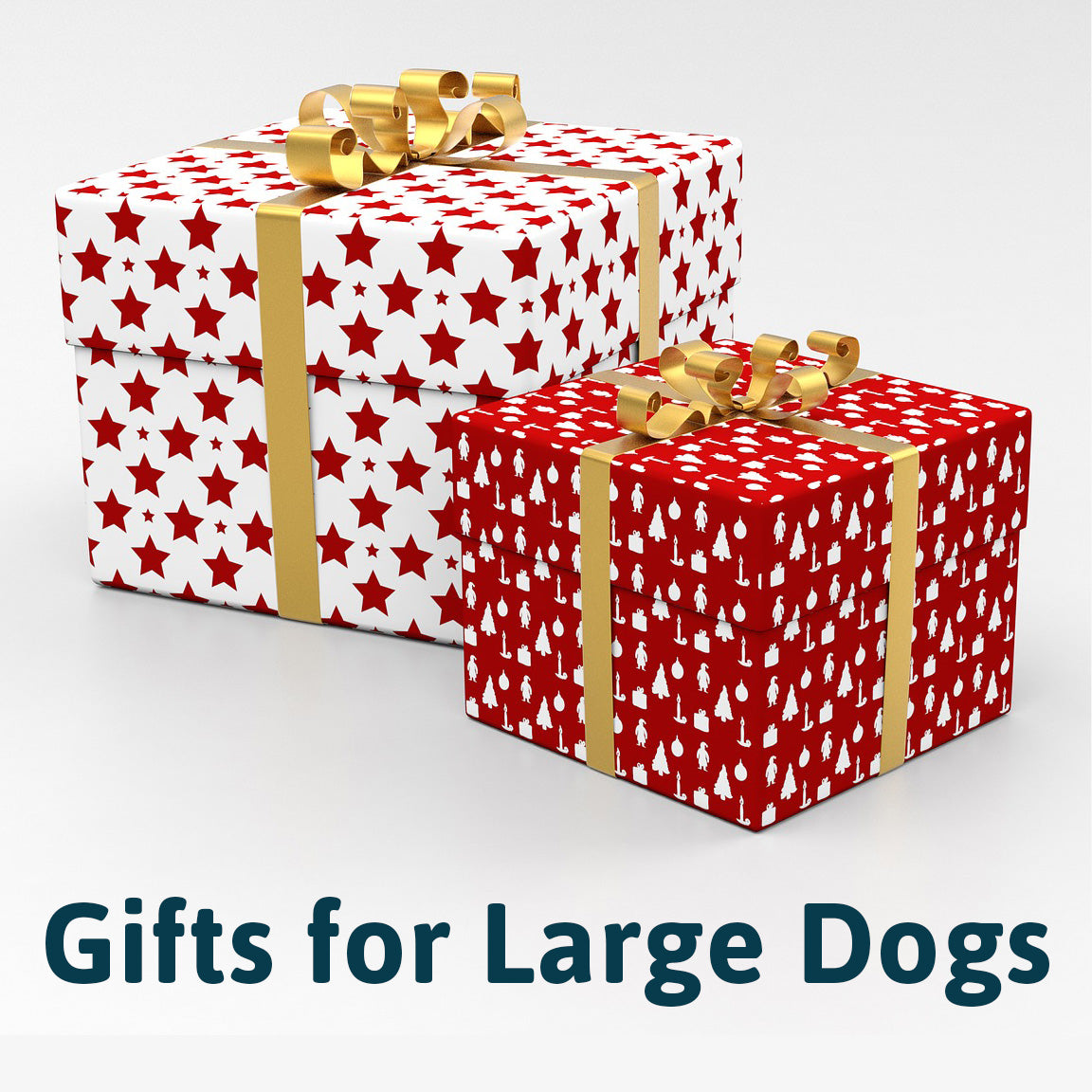 Holiday Gift Guide for Pets: Large Dogs