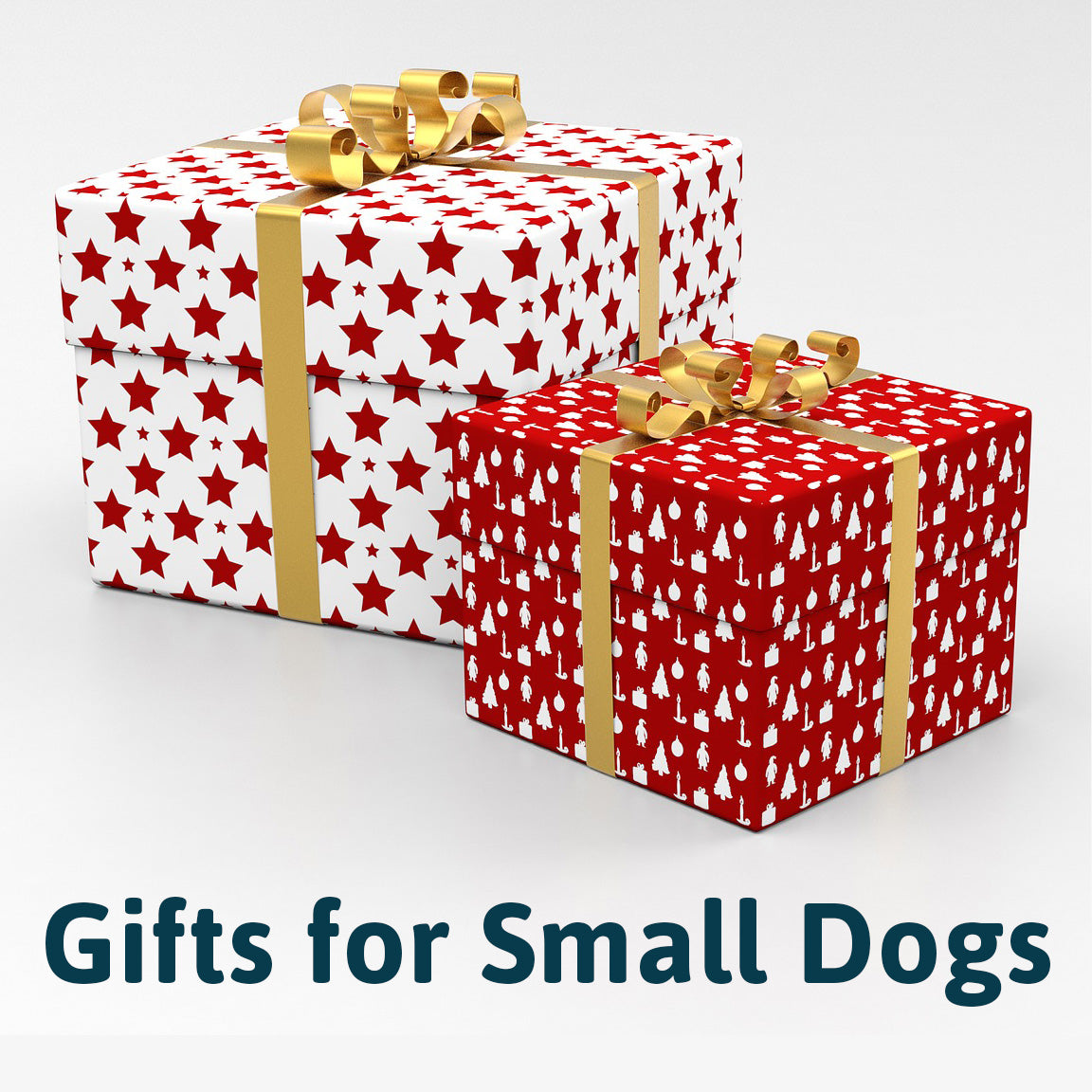 Holiday Gift Guide for Pets: Small Dogs