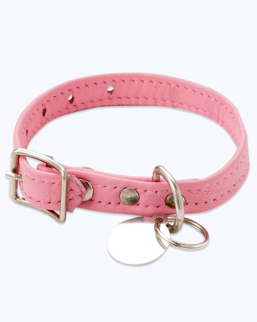 Classic Leather Pet Collar - all variations
