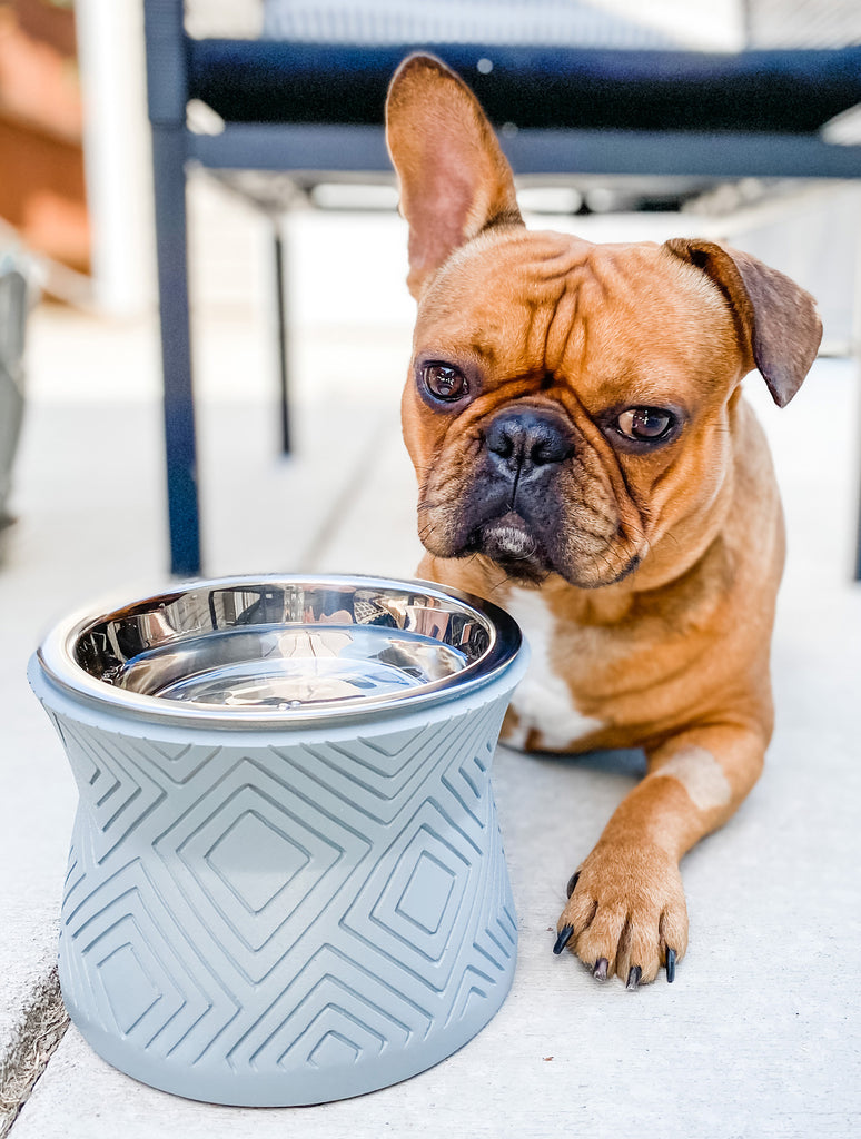 Pet Junkie Summit Elevated Dog Bowl for Food or Water Stainless Steel Washable Inner Bowl Brown (Large)