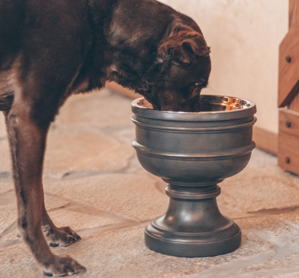 Pet Junkie Elevated Dog Bowl Summit, Small - 5 inch / 16oz, Brown