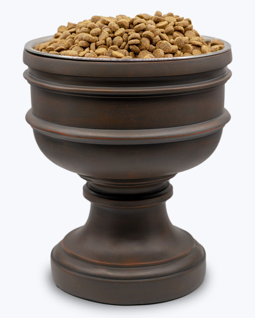 Large Summit elevated dog bowl with food