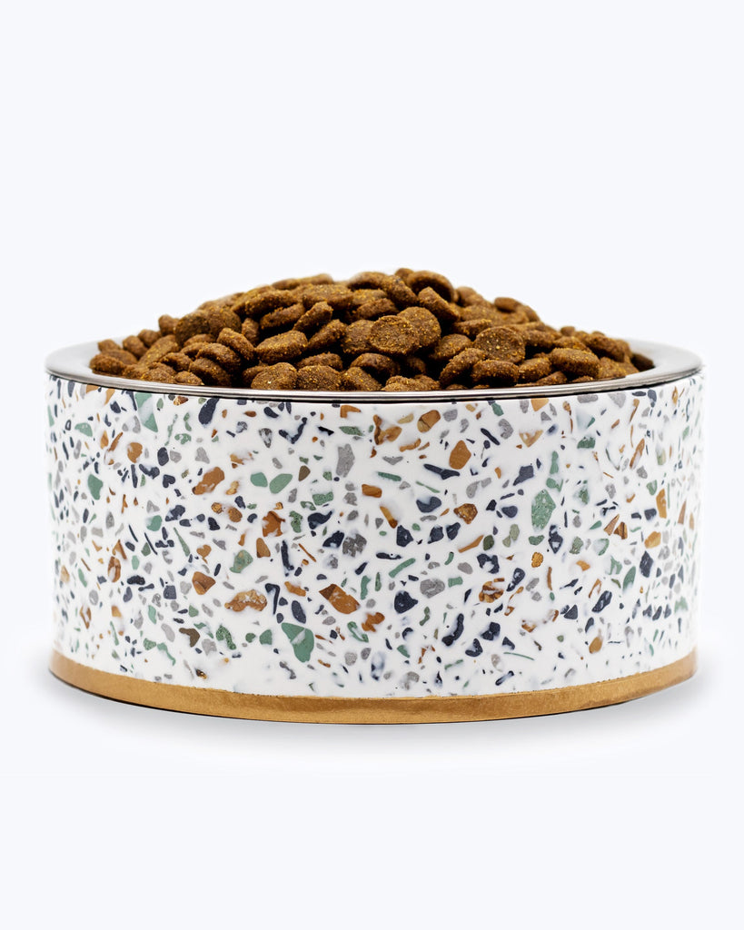 Small terrazzo dog bowl with food